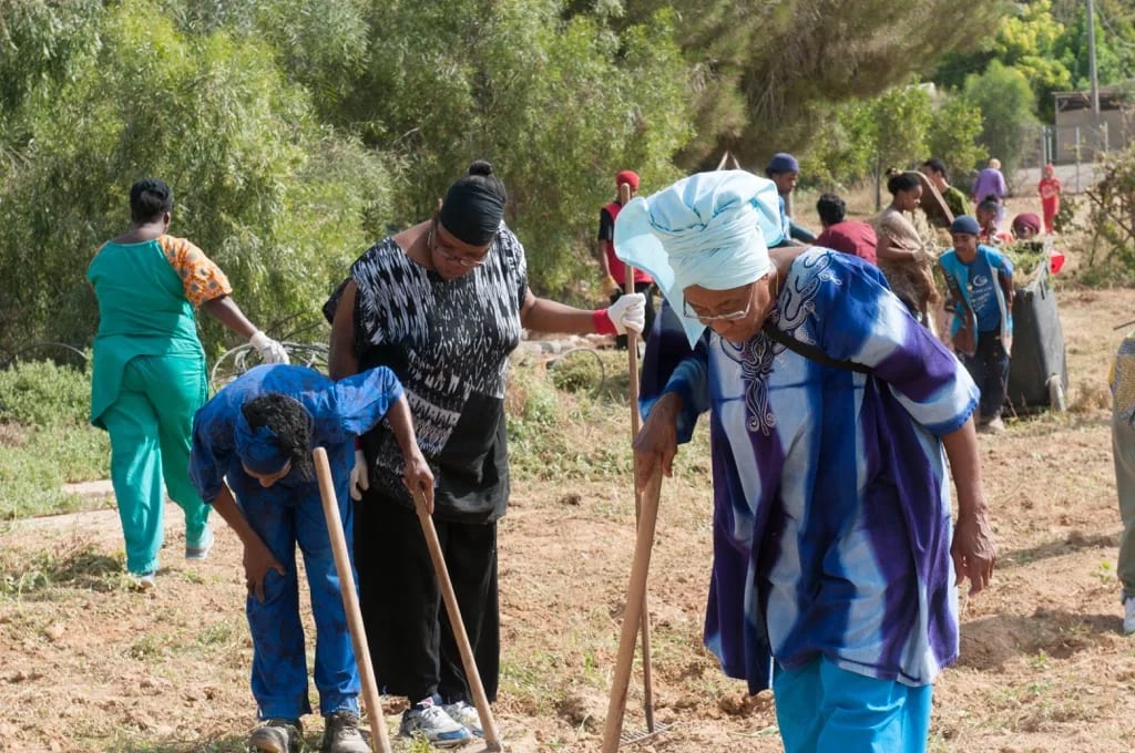 Community members working together in agricultural fields